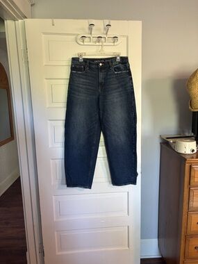 American Eagle Dark Wash Barrel Jean